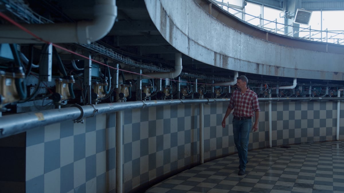 Livestock worker walking dairy facility